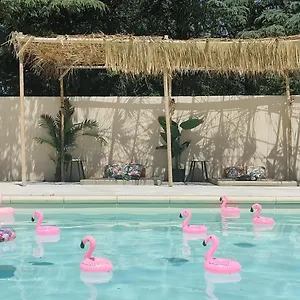 Ile Des Plaisirs, D'hotes Naturistes Avec Jacuzzi Et Petit-dejeuner Tropical Inclus Maison d'hôtes